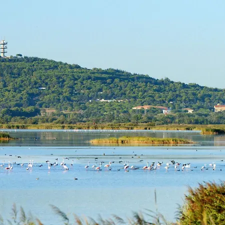 아파트 Le Sunset-cap Sud-14 By Interhome *